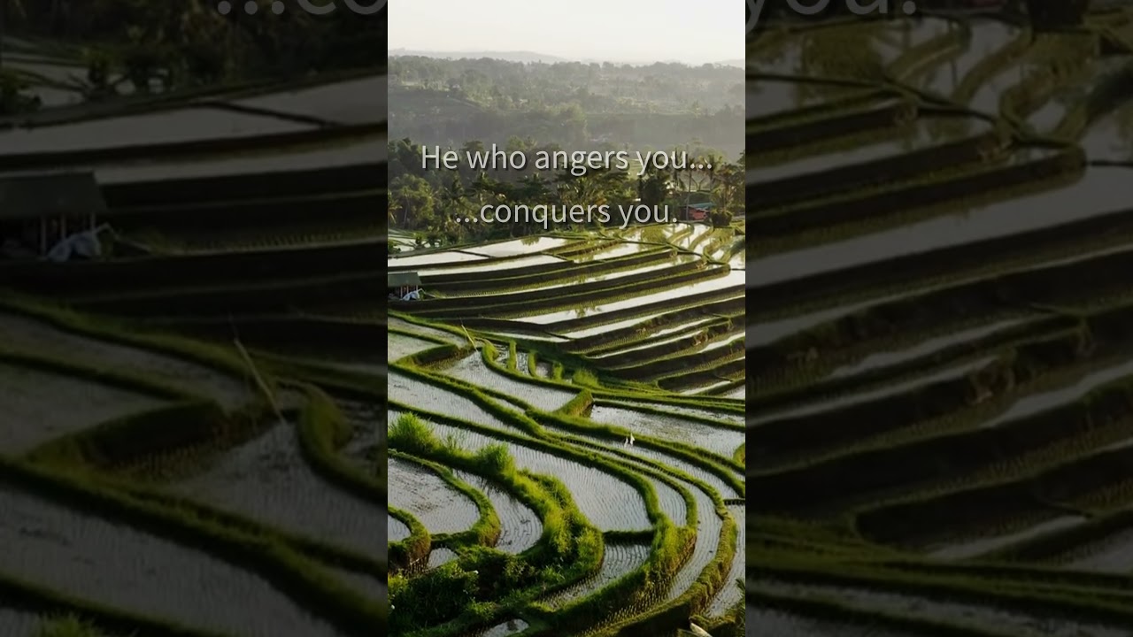 He who angers you...   #Motivation #Shorts #Inspiration #Inspirational