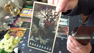 Capricórnio 20 A 26 Abril 2026 Geral&Amor