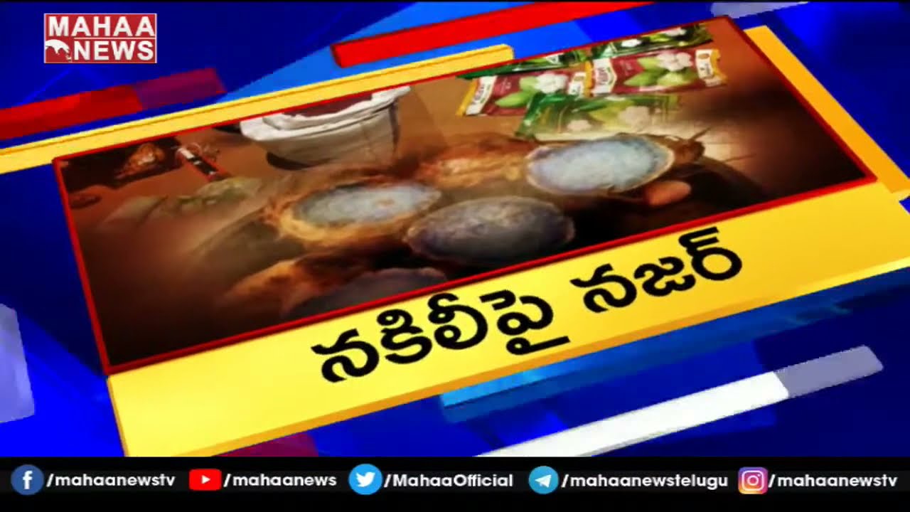 Mahaa News Ground Report On  Fake Seeds Mafia In Telangana | MAHAA NEWS