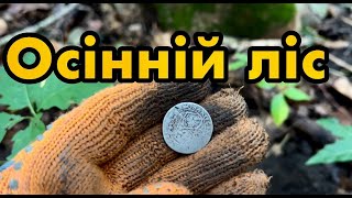 картинка: Осінній ліс віддає знахідки.. Пошук монет у лісі з металошукачем DEUS 2 I Як і де шукати монети)