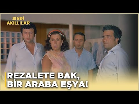 Sivri Akıllılar Türk Filmi | Zeki ile Metin'in Çalıştığı Otele Arkadaşları Geliyor!