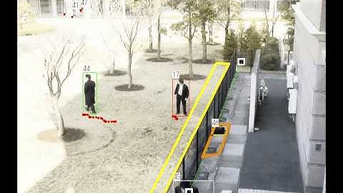 Behavior Detection Demo