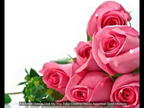 Morning Flowers For You Good Morning Wishes Greetings Sms Quotes