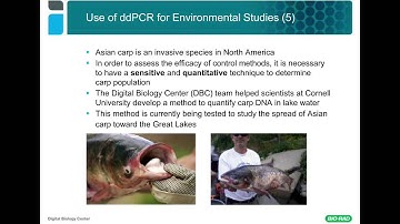 Applying Droplet Digital™ PCR to the Study of Environmental Samples