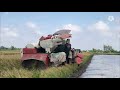 5 Máy Cắt Kubota tụ hợp cắt lúa chạy lũ vụ 3 | Kubota DC 70 Plus Rice Harvest VietNam