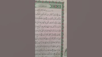 القرآن الكريم سورة الجاثية 🌻🌻