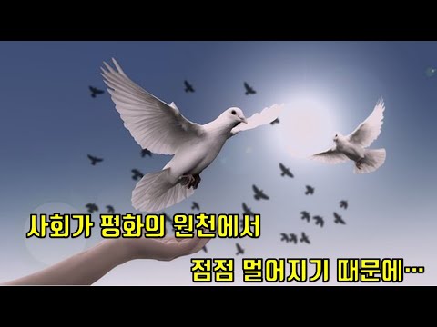 영상썸네일