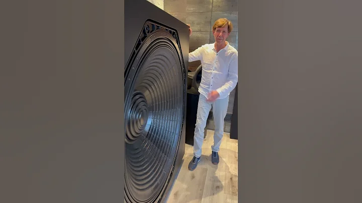 ASCENDO The 50 showing some excursion #hometheater #subwoofer #infrasonic #speakerflexing