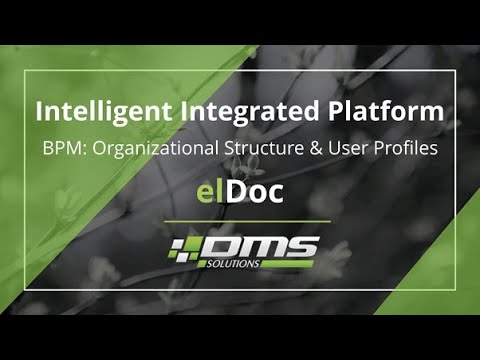 elDoc - Intelligent Integrated Platform | No Code BPM | Organizational Structure and User Profiles