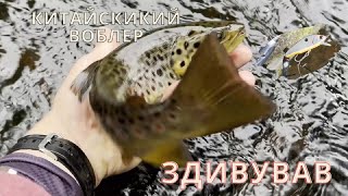 видео: НЕ ВІРИВ ЩО ЦЕ ПРАЦЮЄ!Китайський воблер зловив ВЕЛИКУ ФОРЕЛЬ!Дика рибалка в лісі!KOSADAKA gravity55s картинка: НЕ ВІРИВ ЩО ЦЕ ПРАЦЮЄ!Китайський воблер зловив ВЕЛИКУ ФОРЕЛЬ!Дика рибалка в лісі!KOSADAKA gravity55s