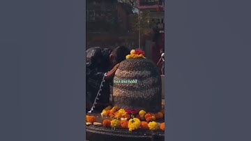 बस इतना काबिल बना दीजिए मेरे महादेव ! Mahadev Status ! Bholenath Status #mahadev #shivstatus#shorts