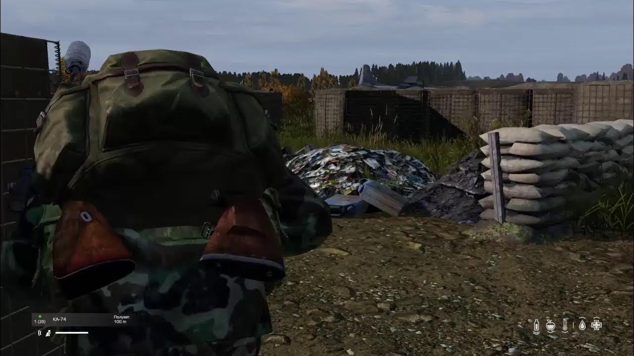 Dayz ps4