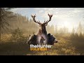 Hunter Call Of The Wild