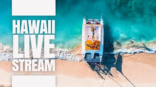 Hawaii LIVE Stream: Let's just see what happens!