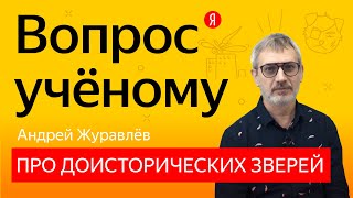 Вопрос учёному: биолог Андрей Журавлёв — о гигантских насекомых и происхождении болезней Вопрос учёному: биолог Андрей Журавлёв — о гигантских насекомых и происхождении болезней