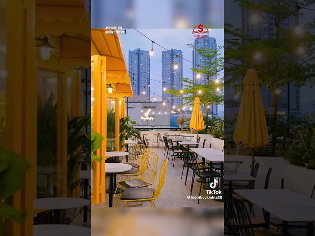 #thinhhanh  dạo này có mấy app ai sáng tác nhạc anh em tải dần đi .không lại ôi giời ơi | bản quyền