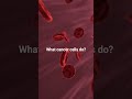 Did you know cancer breathe differently from normal cells? #ytshorts #biology #education #viral