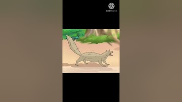 Adventures in a banyan tree