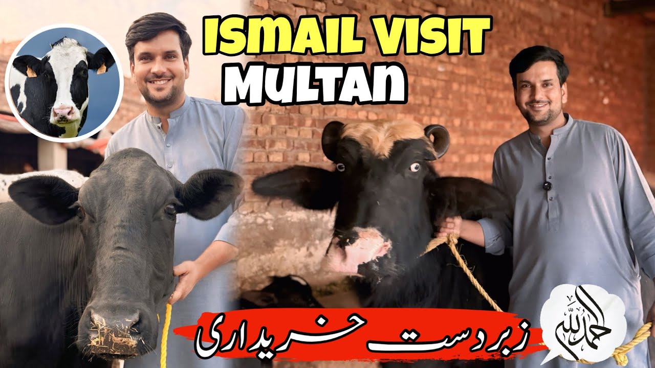 Ismail Jutt Visit Multan زبردست خریداری - YouTube
