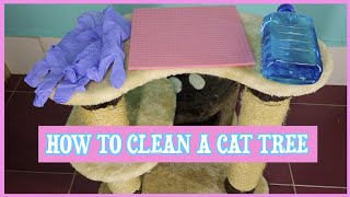 How To Clean A Cat Tree