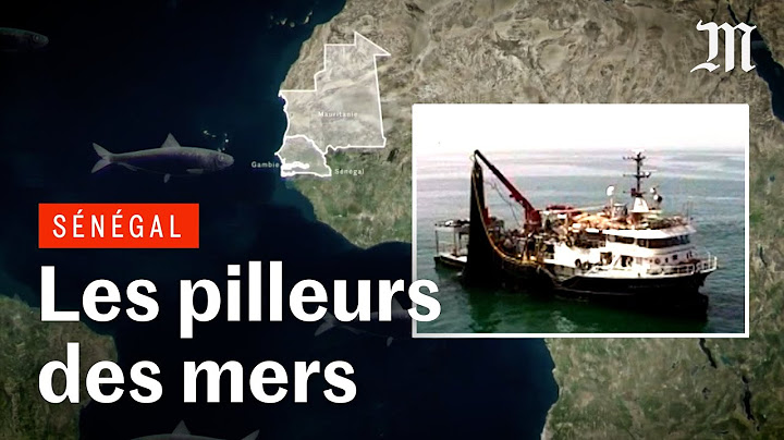 Pourquoi le poisson disparaît du Sénégal | ENQUÊTE