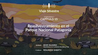 Programa Radial Viaje Silvestre: #15 Reasilvestramiento en el Parque Nacional Patagonia