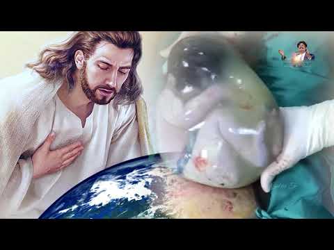 Maa Ke Garbh Mein  Jayashali Hindi Songs  Latest Christian Hindi Songs