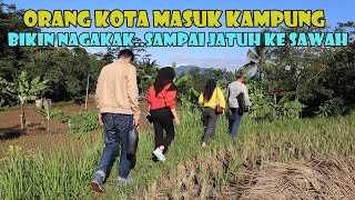 Lucu Bikin Ngakak..Orang Kota Jalan Di Petakan Sawah. Sampai Jatuh Ke Sawah..Wk wk wk...