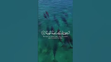 الاية 27 من سورة(الفجر)/شاشة سوداء #القرآن الكريم