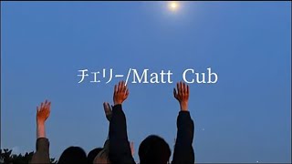 【歌詞】チェリー/Matt Cab cover #tiktok #スピッツ 1時間耐久