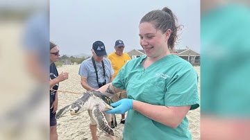 Master Portfolio Video: Project Dragonfly, Miami University