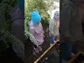 В детском саду малышей учат сажать горох.