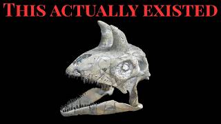 The Strangest Animals From Earth's Strangest Time