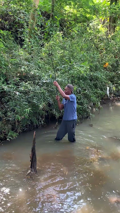 DIKIRA IKAN, G TAUNYA ....#humor #mancing #buayadarat