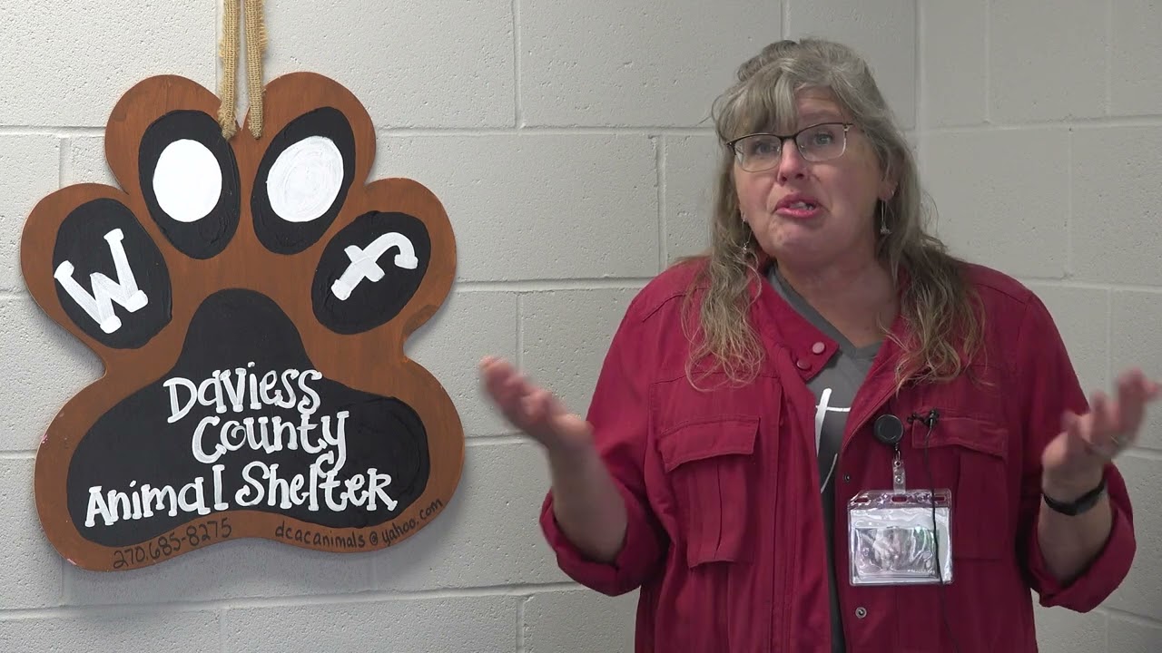 iMiddle Students Tour Animal Shelter