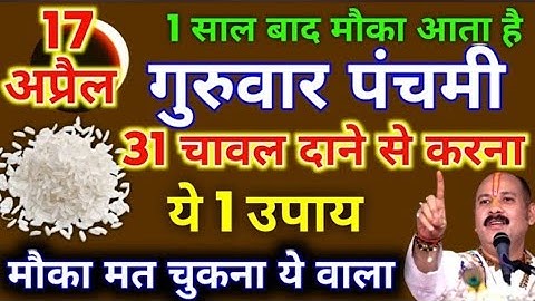 17 अप्रैल गुरुवार पंचमी को 31 चावल दाने वाला उपाय जरुर करे || Pradeep Ji Mishra #guruwar