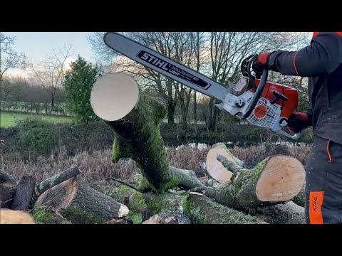 Stihl MS661 C Chainsaw cutting for firewood - YouTube