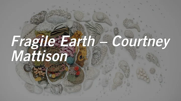 Fragile Earth Courtney Mattison
