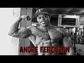 Andre Ferguson | The Best Workout Motivation 2017