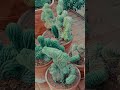 Ideia de vídeo para sua próxima viagem. ✈️ #dicasdeedição #fotografia #blackmagic #transição #viagem