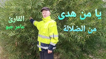 يا من هدى من الضلالة دعاء مؤثر القارئ عامر جبو