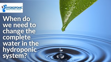 When do we need to change the complete water in the hydroponic system? Hydroponic Masterclass