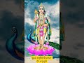 I Praise MURUGA My Savior Since Birth #shorts #tamil #muruganthunai #viralvideo #shortsfeed