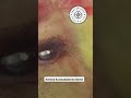 #247 -- Zu alt für Kunst? Freie Malerei studieren mit Ü30, Ü40, Ü50 | LIVE