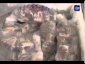 مواطنون وتجار: رفع اسعار الكهرباء