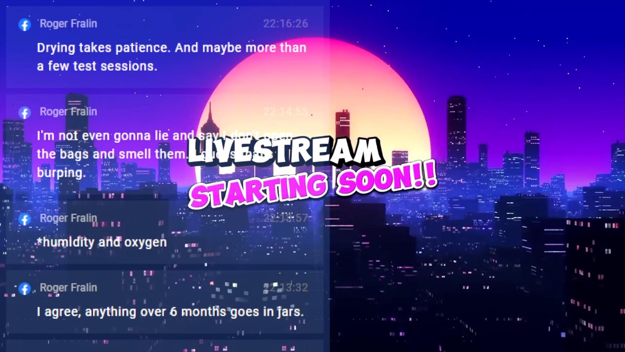 Reviewing 2024 Strain of the Year