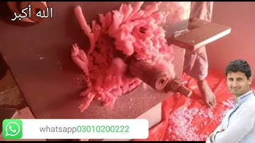 Best 6" soap making ploder by Sayan machinery manufacturer Pakistan business recipe formula