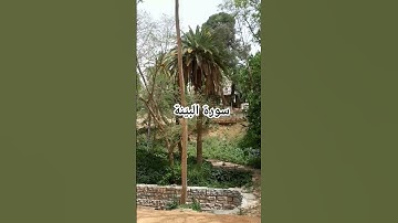 سورة البينة #اكسبلور #تيك_توك #flowers #لايك #ترند #turtle #تصويري #قرآن #حديقة #mountains