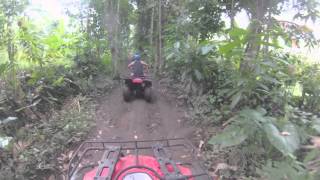 Quad Biking - Bali