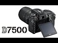 Nikon D7500 Preview (vs D500, D7200)